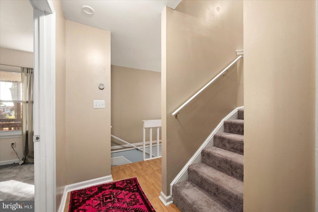 staircase featuring hardwood / wood-style flooring