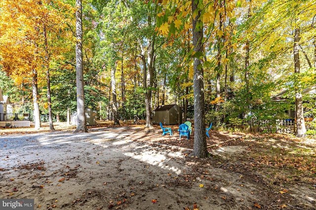 view of yard with a shed