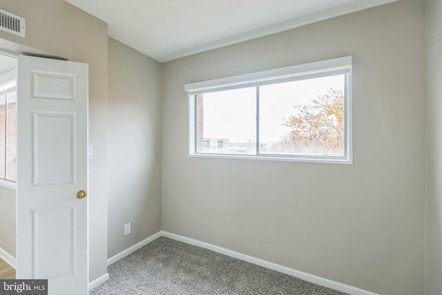 empty room with a wealth of natural light and carpet floors