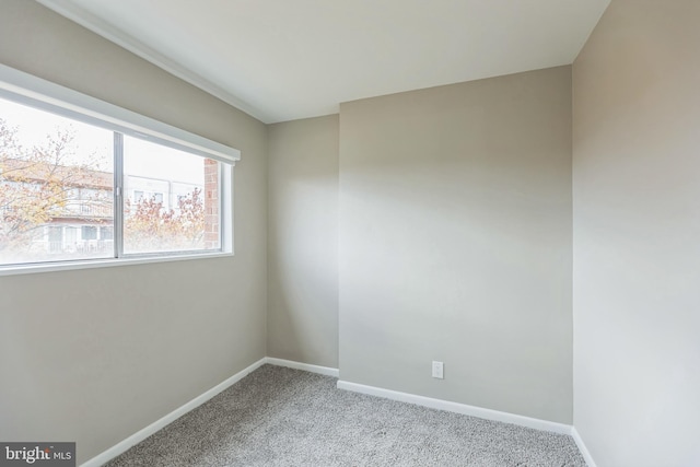 unfurnished room featuring light colored carpet