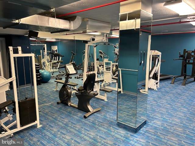 gym featuring carpet flooring