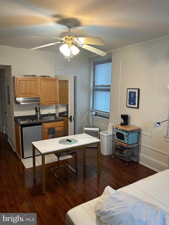 kitchen featuring sink, ceiling fan, stainless steel appliances, and dark hardwood / wood-style flooring