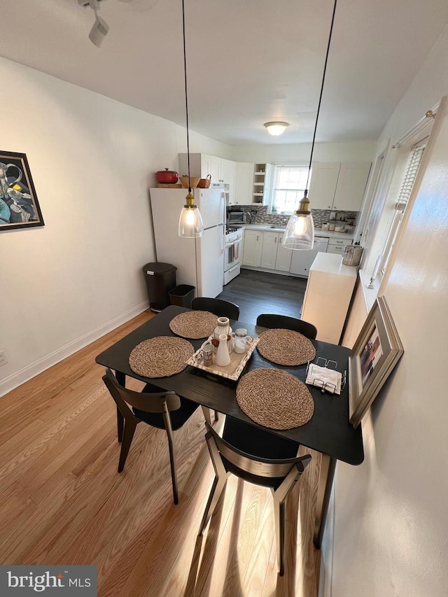 dining room with light hardwood / wood-style floors