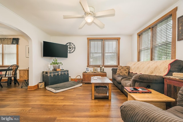 living room with ornamental molding, wood-type flooring, and ceiling fan