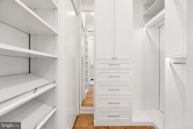 walk in closet featuring light hardwood / wood-style flooring