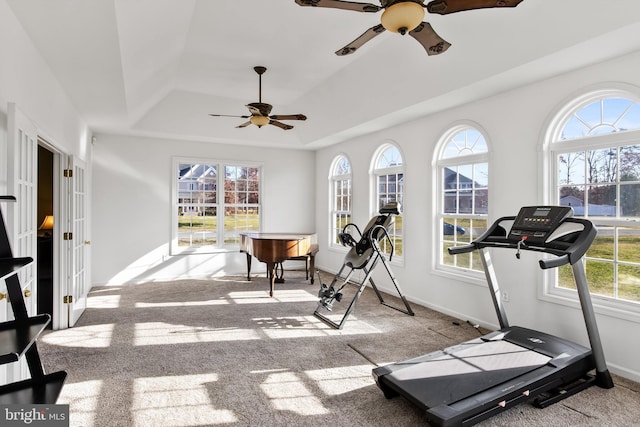 workout room with a healthy amount of sunlight and a tray ceiling