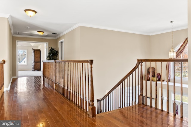 hallway with hardwood / wood-style floors, a healthy amount of sunlight, and crown molding