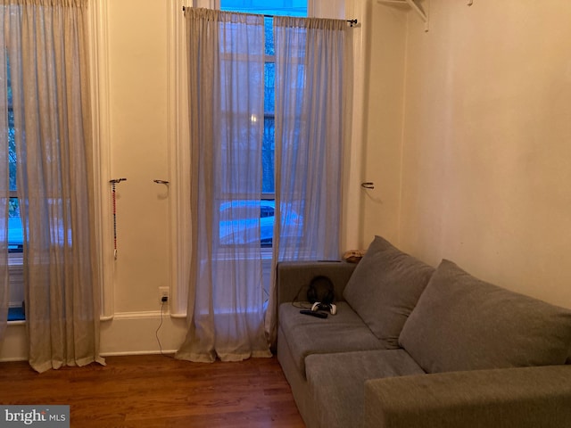 living room with wood-type flooring