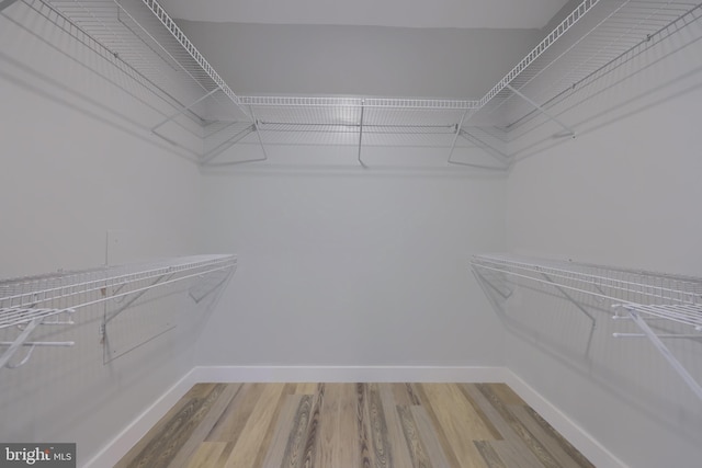 spacious closet with hardwood / wood-style floors