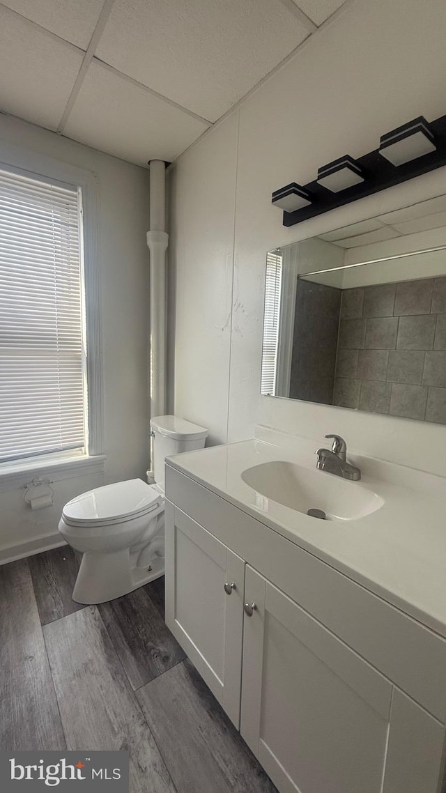 bathroom with a paneled ceiling, hardwood / wood-style flooring, a wealth of natural light, toilet, and vanity