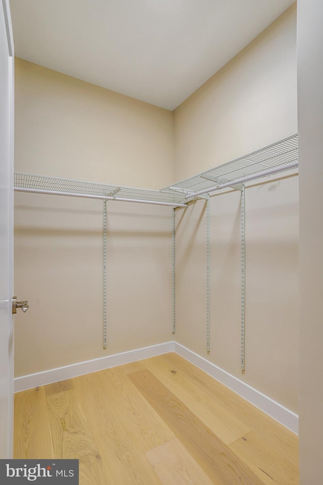 walk in closet with wood-type flooring