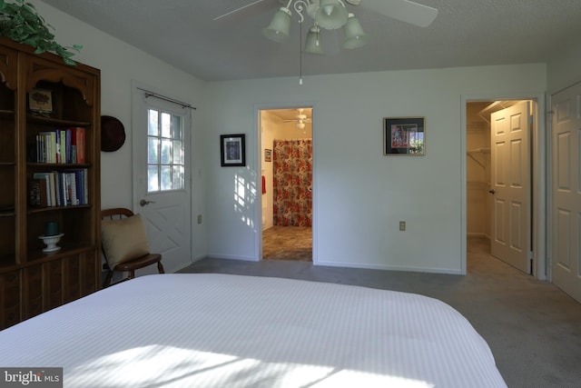 carpeted bedroom featuring a spacious closet, ensuite bath, a closet, and ceiling fan