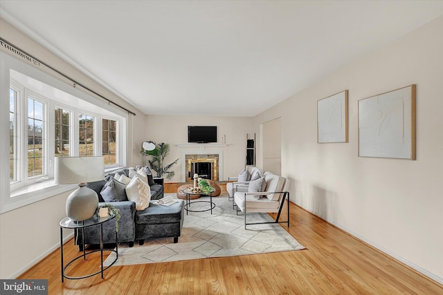 living room with light hardwood / wood-style flooring