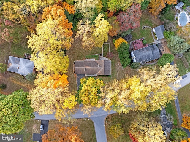 bird's eye view