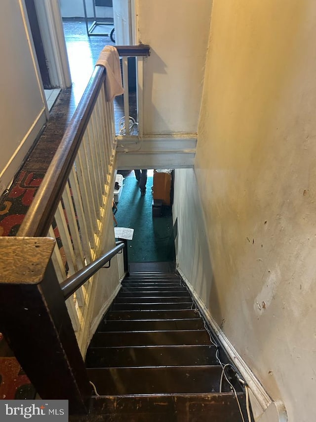 staircase featuring wood-type flooring