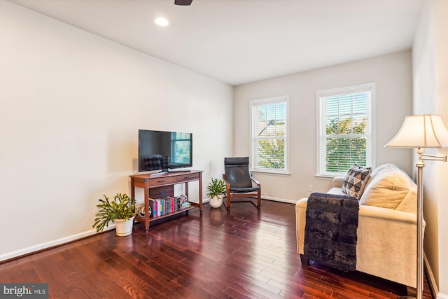 living area with dark wood-type flooring