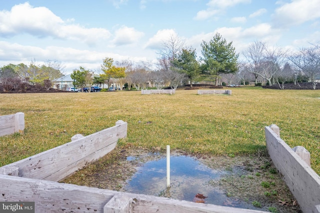 32845 Widgeon Rd Unit 11, Ocean View, DE 19970 - view of yard
