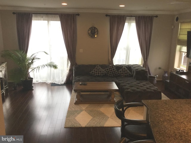 living room featuring crown molding, dark wood-type flooring, and a wealth of natural light