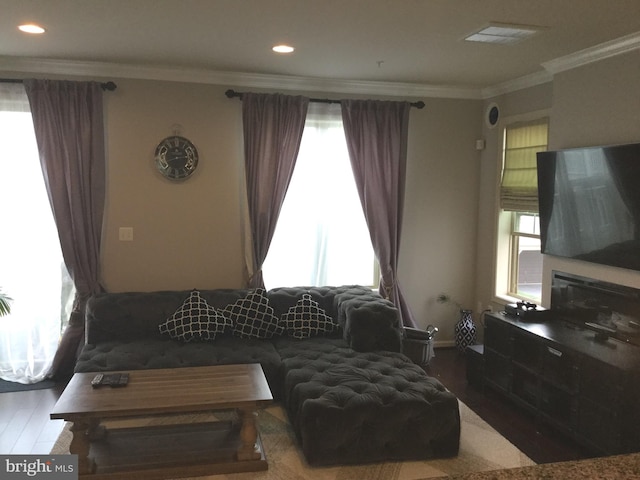 living room featuring crown molding, wood-type flooring, and a wealth of natural light