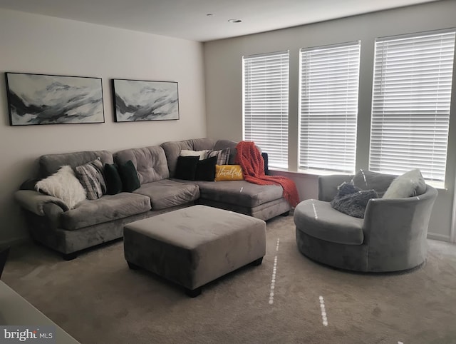 carpeted living room with plenty of natural light