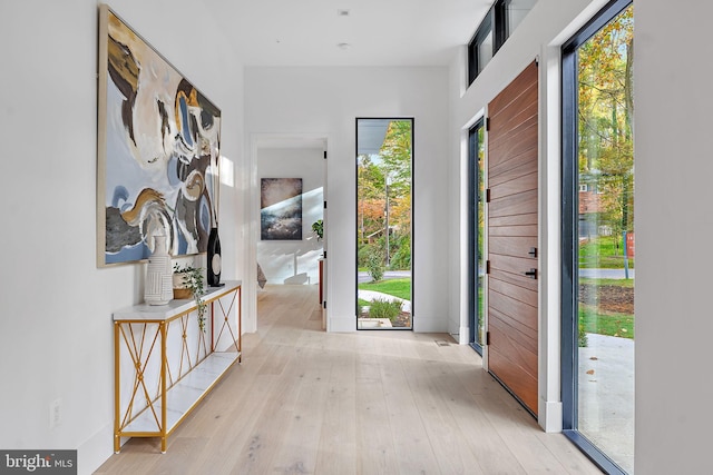 entryway featuring light hardwood / wood-style flooring and a healthy amount of sunlight