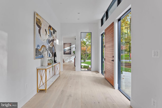 interior space with light hardwood / wood-style floors and a wealth of natural light