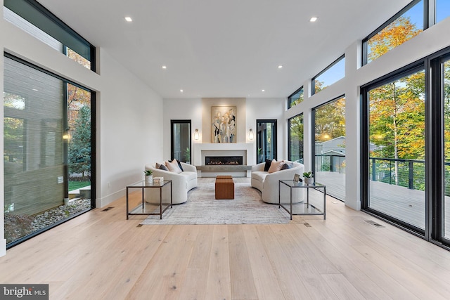 living room featuring light hardwood / wood-style flooring