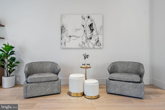 sitting room with wood-type flooring