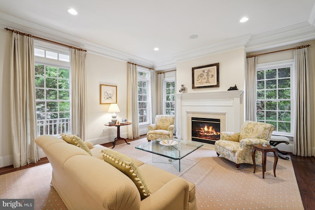 sitting room featuring crown molding and hardwood / wood-style floors