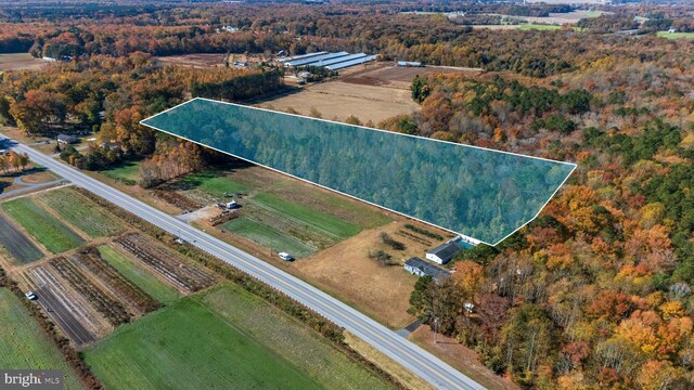 0 Whaleyville Rd, Whaleyville, MD 21872