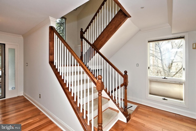 stairway featuring crown molding and hardwood / wood-style floors