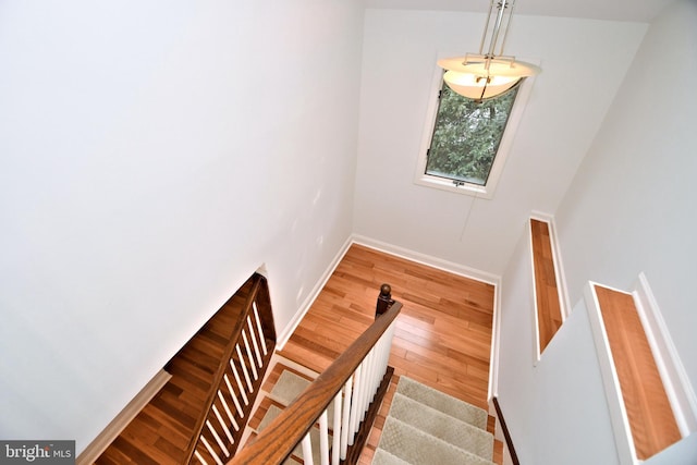 staircase with hardwood / wood-style floors