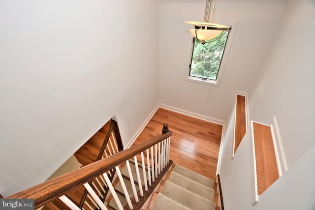 stairs with wood-type flooring