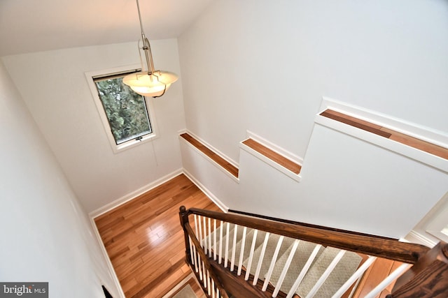 stairway featuring wood-type flooring