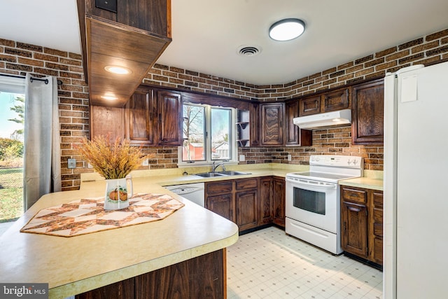 kitchen with dark brown cabinets, a healthy amount of sunlight, white appliances, and sink