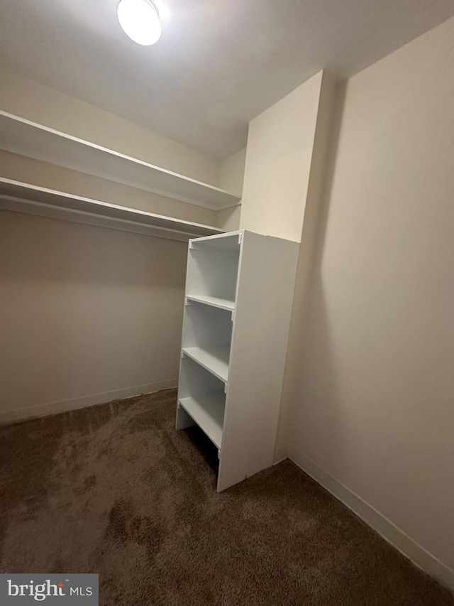 spacious closet featuring dark carpet