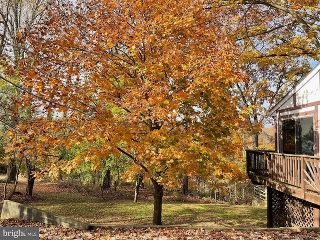 view of yard with a wooden deck