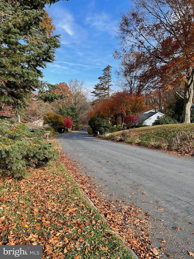 view of road