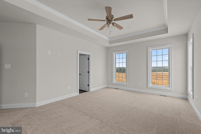 spare room with crown molding, ceiling fan, light carpet, and a raised ceiling