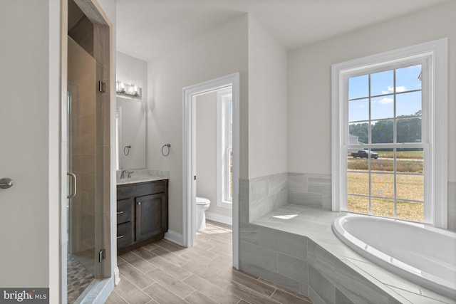 full bathroom with a wealth of natural light, vanity, independent shower and bath, and toilet