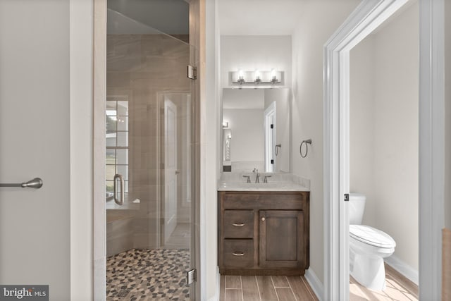 bathroom featuring vanity, toilet, wood-type flooring, and a shower with shower door