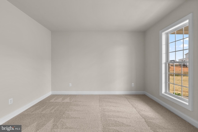 unfurnished room with carpet and a healthy amount of sunlight