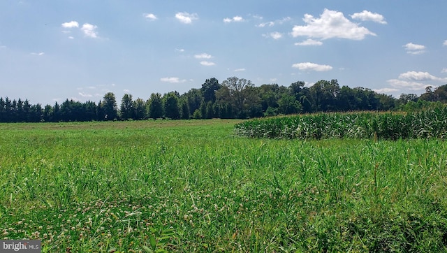 view of nature with a rural view