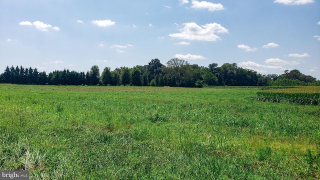 view of nature featuring a rural view