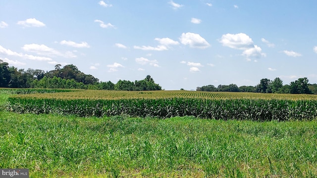 view of local wilderness with a rural view