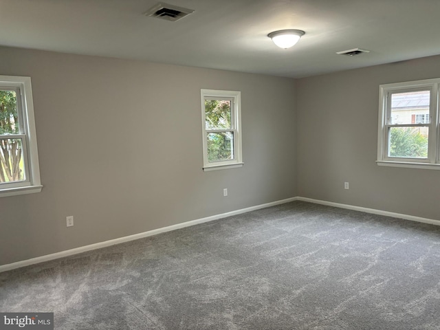 carpeted spare room with a healthy amount of sunlight