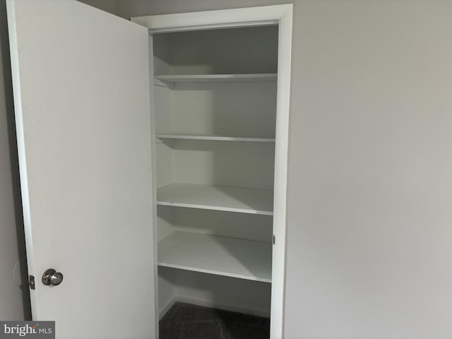 view of closet