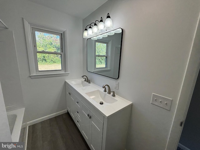 bathroom with vanity and wood-type flooring