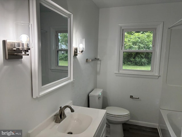 bathroom with vanity, toilet, and wood-type flooring