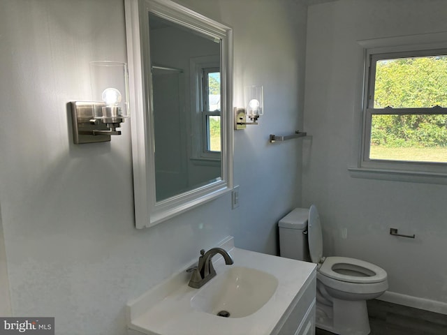 bathroom with wood-type flooring, vanity, and toilet